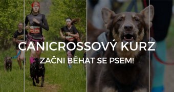 Canicrossový kurz - začni běhat se psem