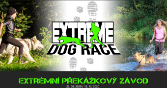 Extreme Dog Race