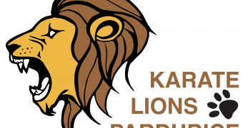 Karate Lions Pardubice - nábor nových členů
