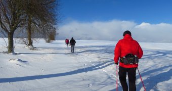 Novoroční Nordic Walking výšlap - Panská Lícha