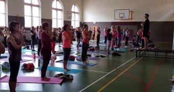 Yoga Day Pardubice