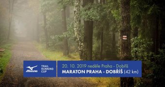 Maraton Praha - Dobříš